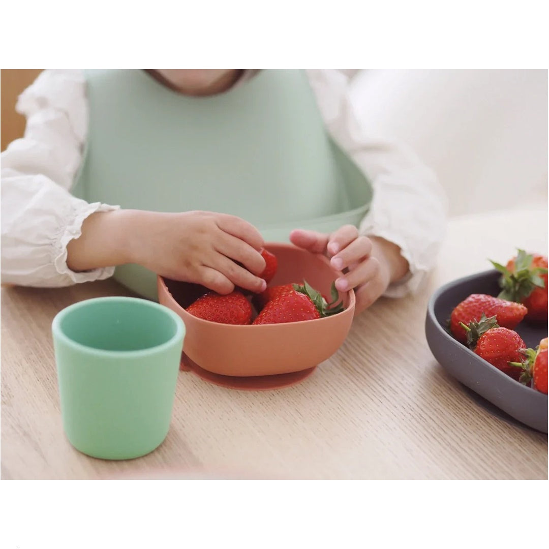 Beaba Beaba Conjunto de Refeição com Ventosa de Silicone - Conjunto de 4 - Mineral