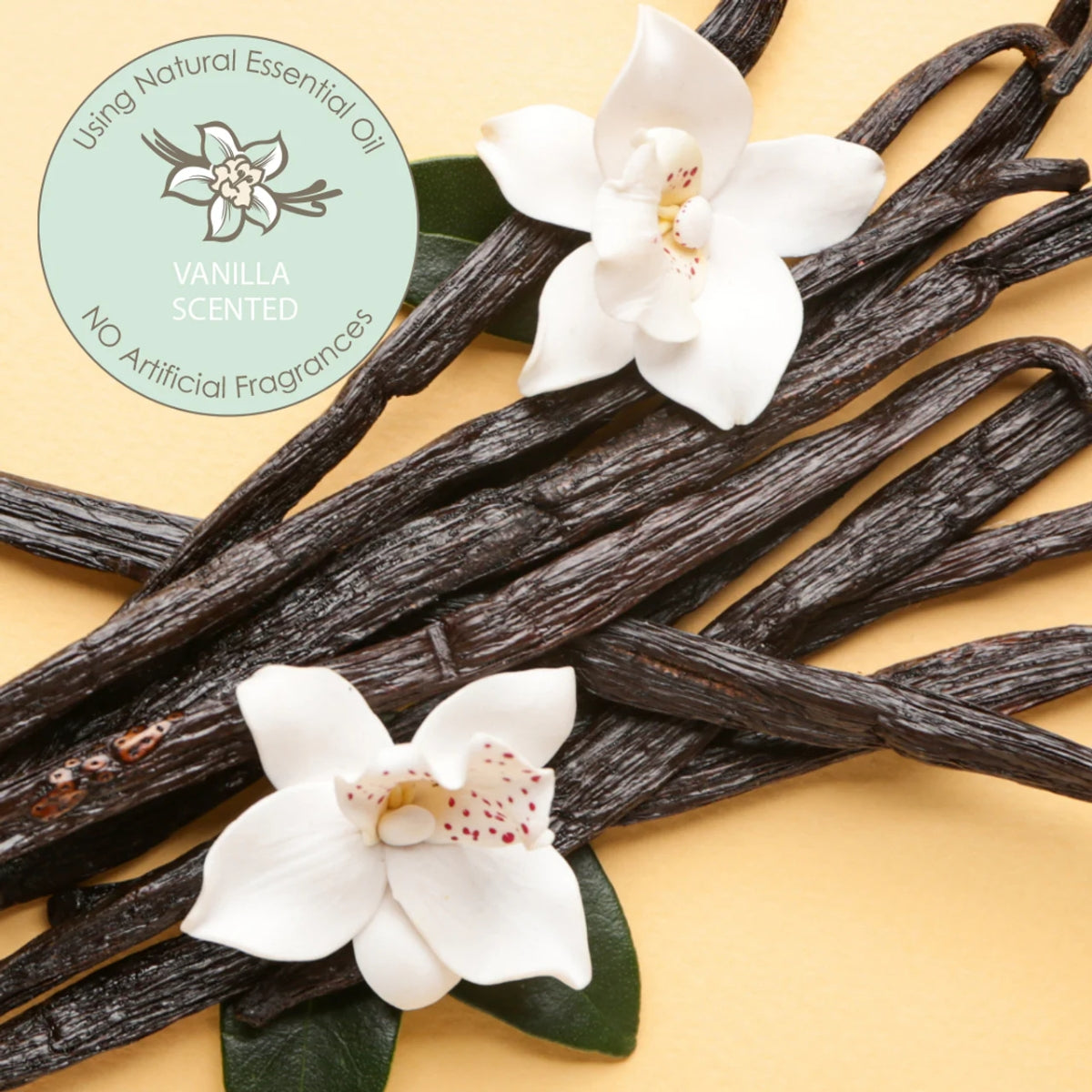 Saco de fraldas Descartáveis e Refil Moodie Teddy Bear Vanilla Dream