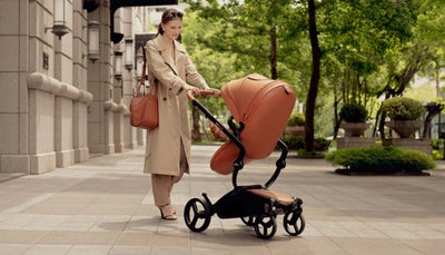 How to Choose the Perfect Baby Stroller?