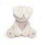 Baby Gund Animated Flora