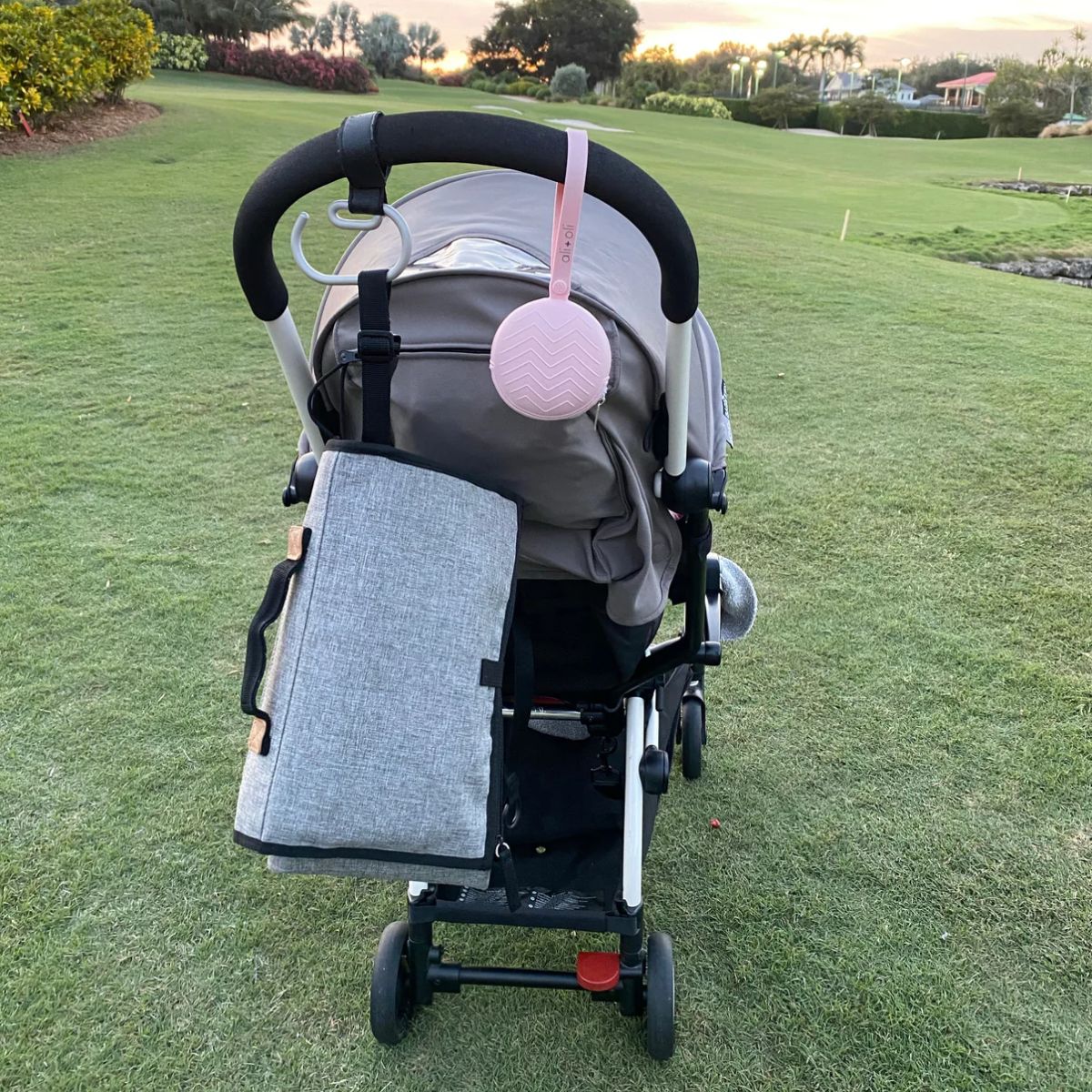 Ali + Oli Porta-Chupeta de Silicone - Rosa