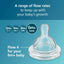 Avent Anti-Colic Baby Bottle Flow 4 Nipple 2Pk