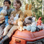 Pelúcia Bon Ton Toys ECO Corduroy Miffy Pink

 on Luna Baby Store Miami