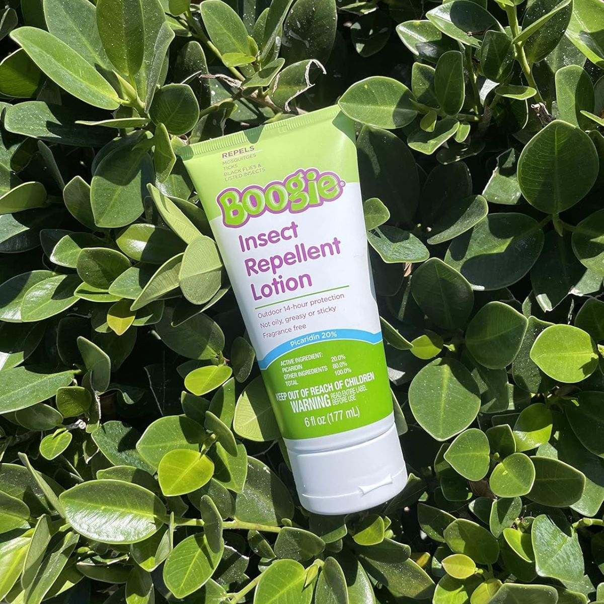 Boogie Insect Repellent Lotion with 20% Picaridin(Unscented) - 6.0 oz