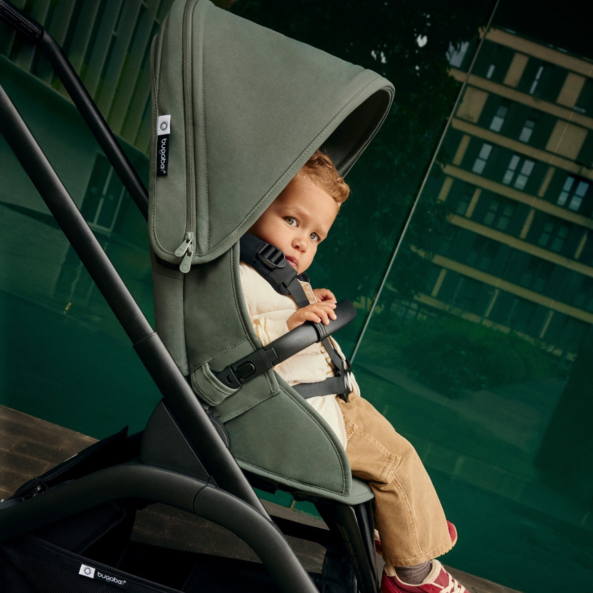 Carrinho de Bebê Bugaboo Dragonfly Midnight black/ Skyline blue com estrutura grafite on Luna Baby Store Miami