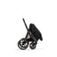 Moisés Infantil Cybex Priam Fold Lux Sepia Black

 on Luna Baby Store Miami