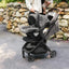 Carrinho De Bebê Uppababy Minu V3 Carbon Frame Greyson on Luna Baby Store Miami
