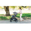 Carrinho De Bebê Uppababy Vista V3 Silver Frame Callum 