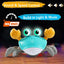 Brinquedo Musical Caranguejo Rastejante Control Future on Luna Baby Store Miami