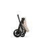 Carrinho De Bebê Cybex E-Priam Cozy Beige (Matt Black Frame)

 on Luna Baby Store Miami