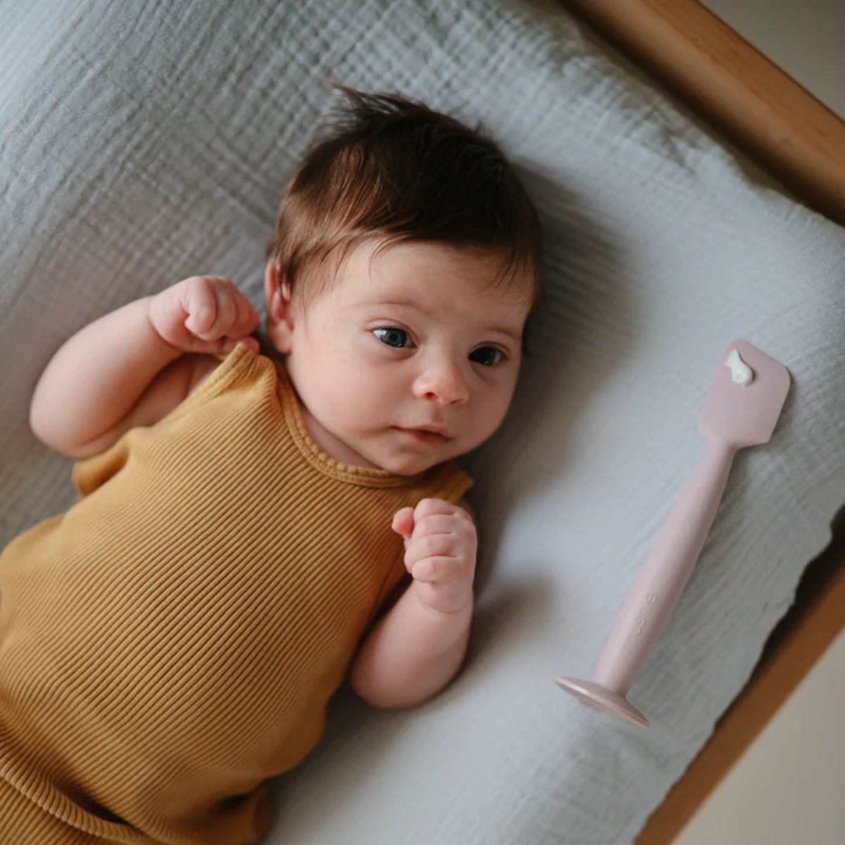 Espátula Para Aplicar Creme em Fralda Mushie Soft Lilac on Luna Baby Store Miami