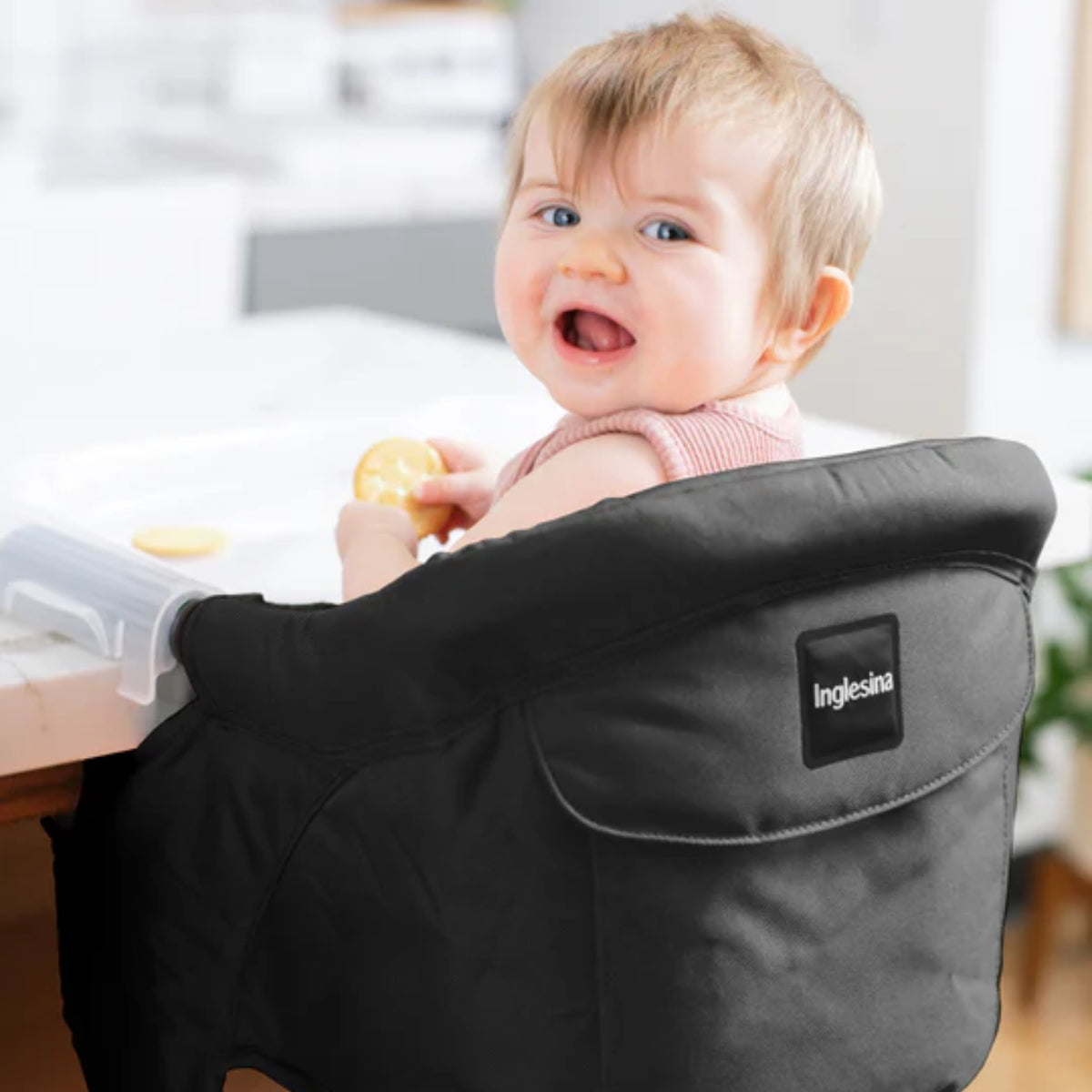 Inglesina Fast Table Chair - Cream