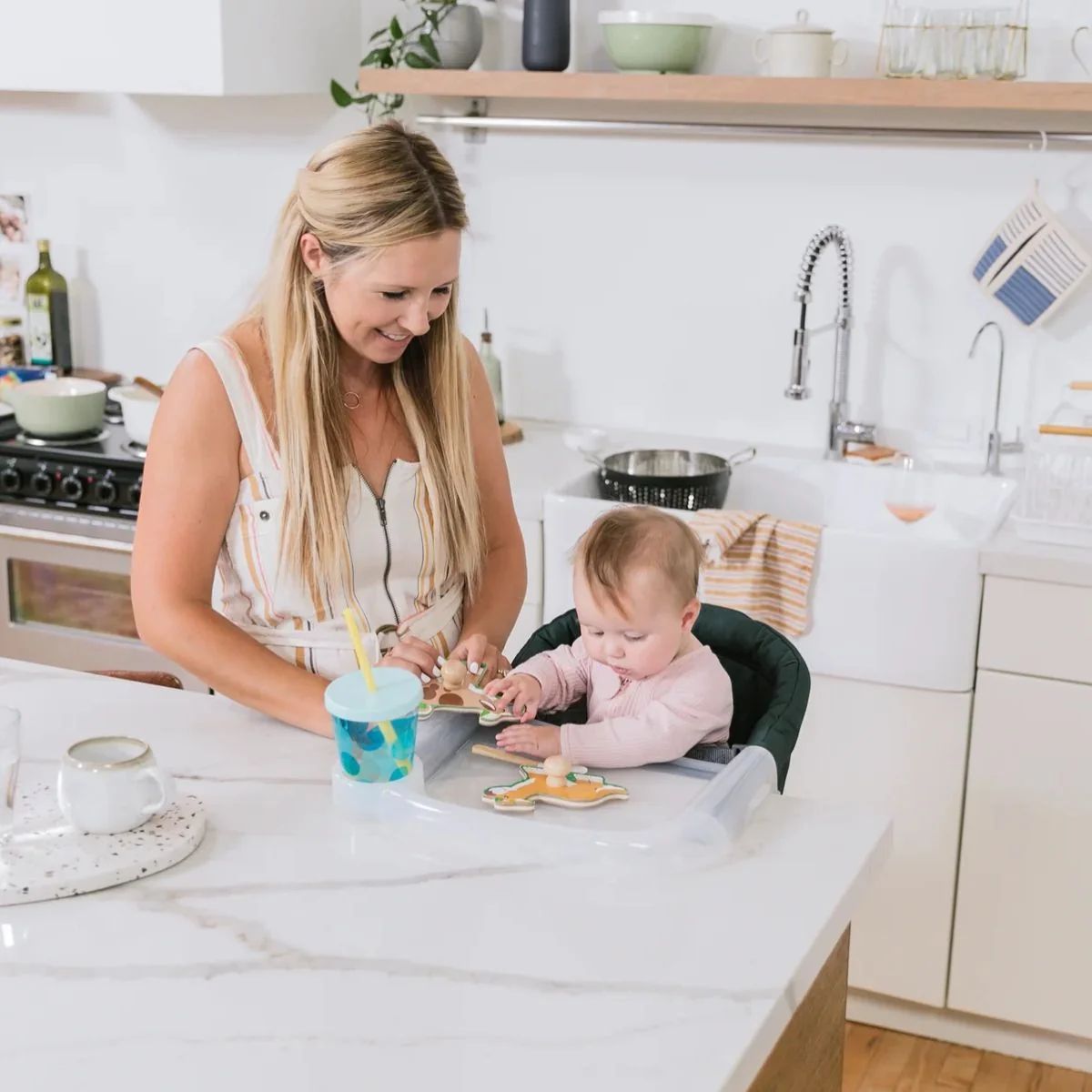 Inglesina Fast Dining Tray Plus