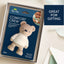 Mordedor Itzy Ritzy Comfort Crew Bear on Luna Baby Store Miami
