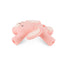 Mordedor Itzy Ritzy Molar Teether Coelho