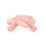 Mordedor Itzy Ritzy Molar Teether Coelho