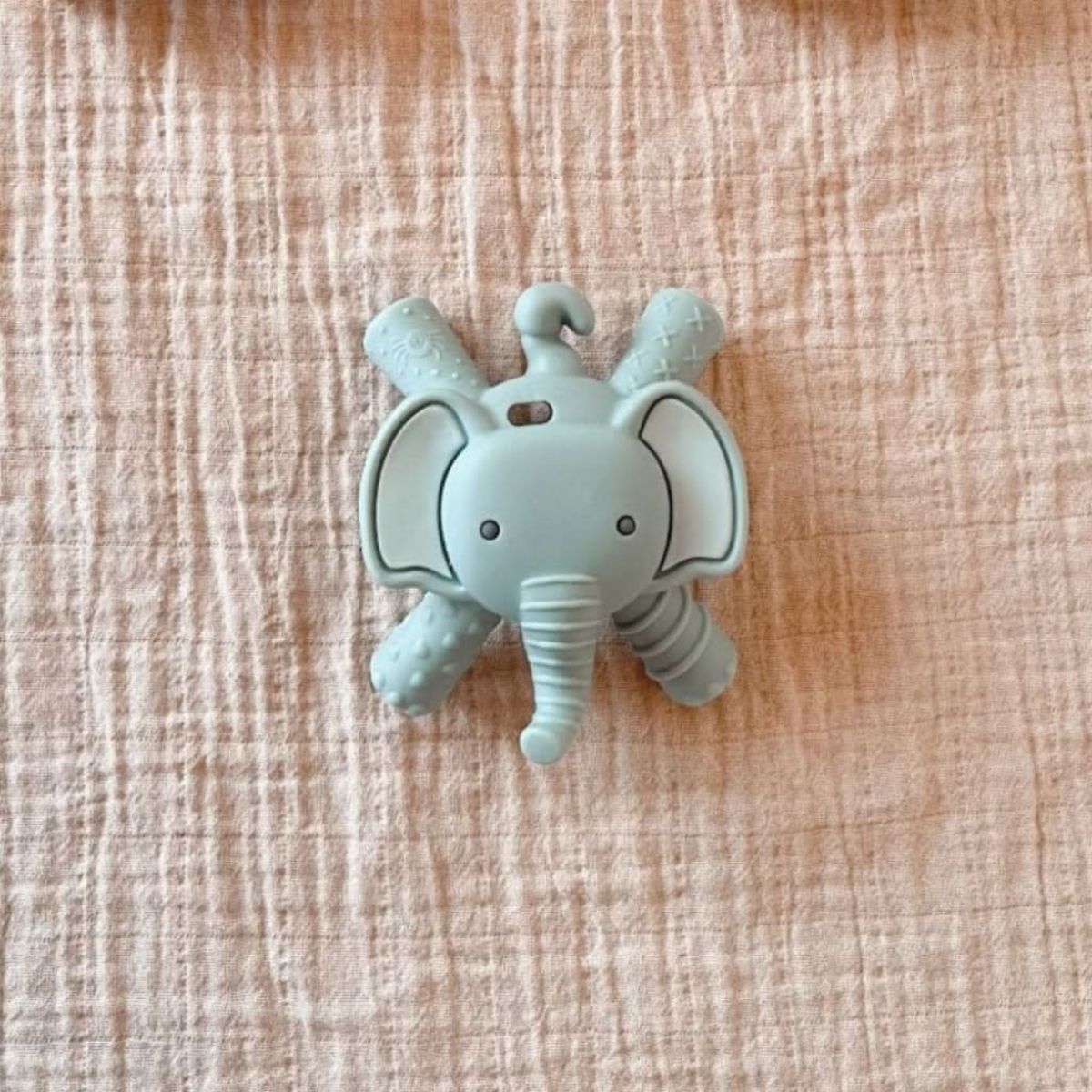 Mordedor Itzy Ritzy Molar Teether Elefante Emmerson