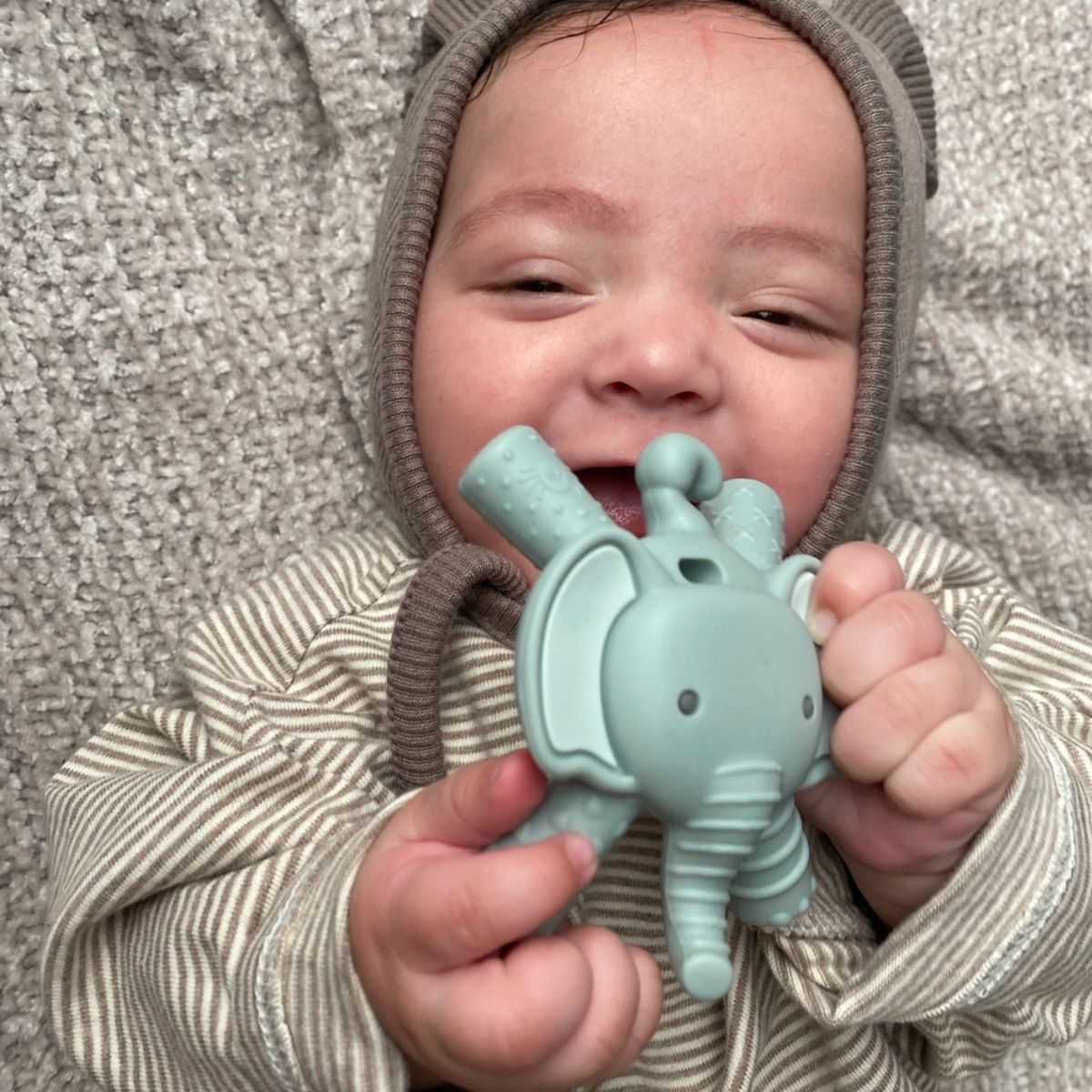 Mordedor Itzy Ritzy Molar Teether Elefante Emmerson