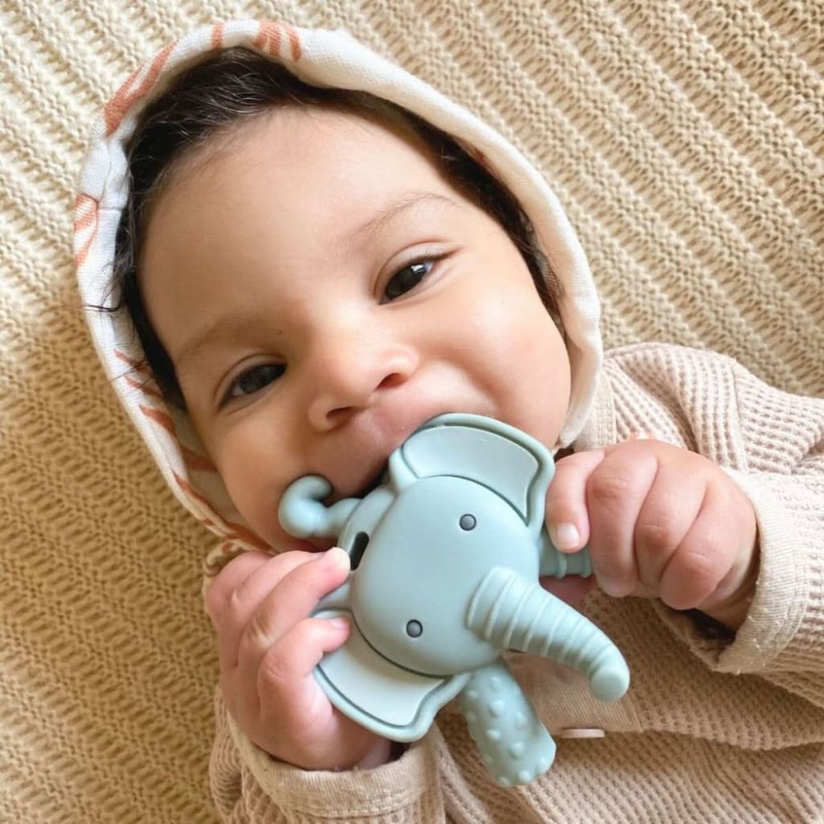 Mordedor Itzy Ritzy Molar Teether Elefante Emmerson