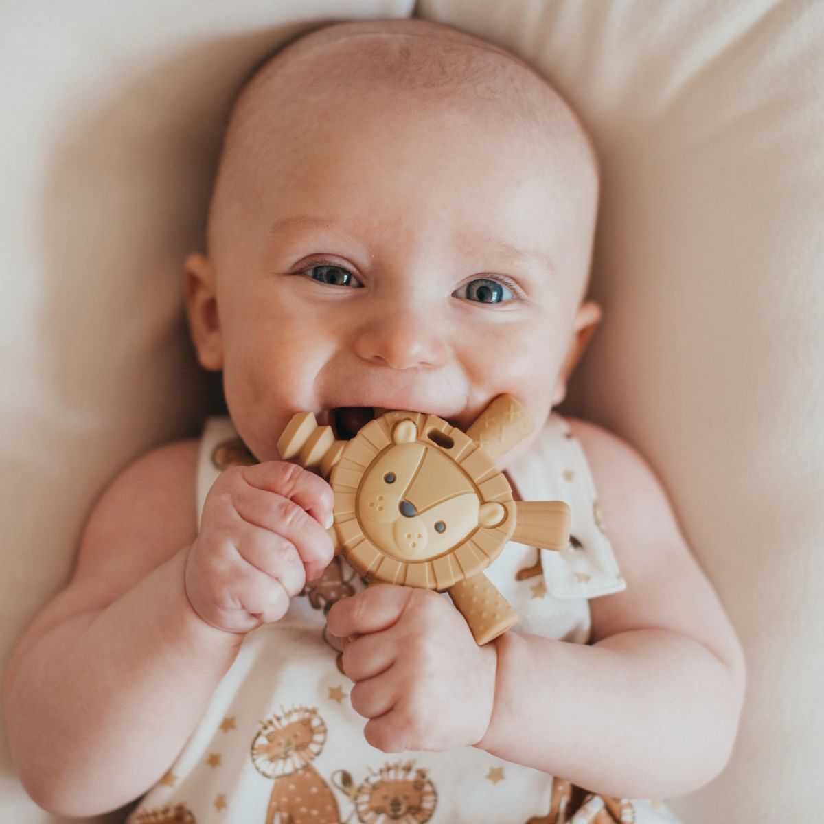 Mordedor Itzy Ritzy Molar Teether Leão
