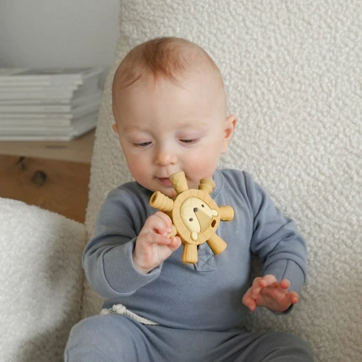 Mordedor Itzy Ritzy Molar Teether Leão