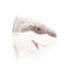 Jack The Shark Soft Plush Wall Decoration