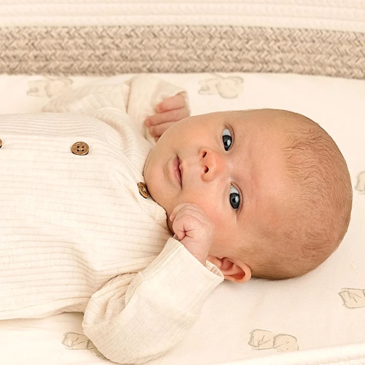 Kit de Lençol Para Moíses Soothe KeaBabies Sage - Universal

