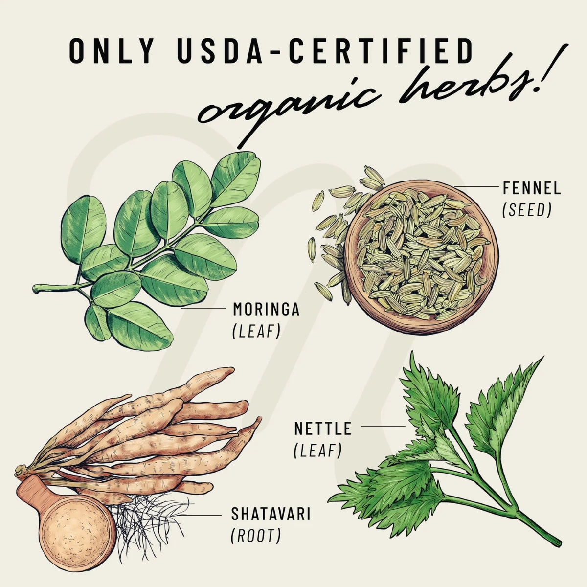 Legendairy Milk Milkapalooza - Suplemento de Amamentação 60 Caps