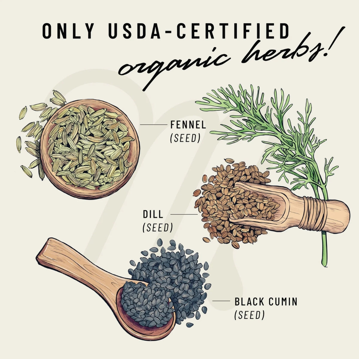 Legendairy Milk Pump Princess - Suplemento de Amamentação 60 Caps