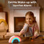 Ruído Branco Infantil Momcozy DreamSync Tech Rainbow