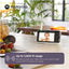 Motorola - Monitor de bebê PIP1510 Connect, monitor de bebê com vídeo WiFi