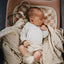Kit De Chupetas Simétricas Lucky Mushie 6-18M Cream e Blush on Luna Baby Store Miami
