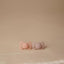Kit De Chupetas Simétricas Lucky Mushie 6-18M Cream e Blush on Luna Baby Store Miami