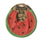 Babador Infantil Oli & Carol Melancia Wally on Luna Baby Store Miami