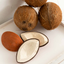 Olí & Carol Fruit Teether - Coco The Coconut