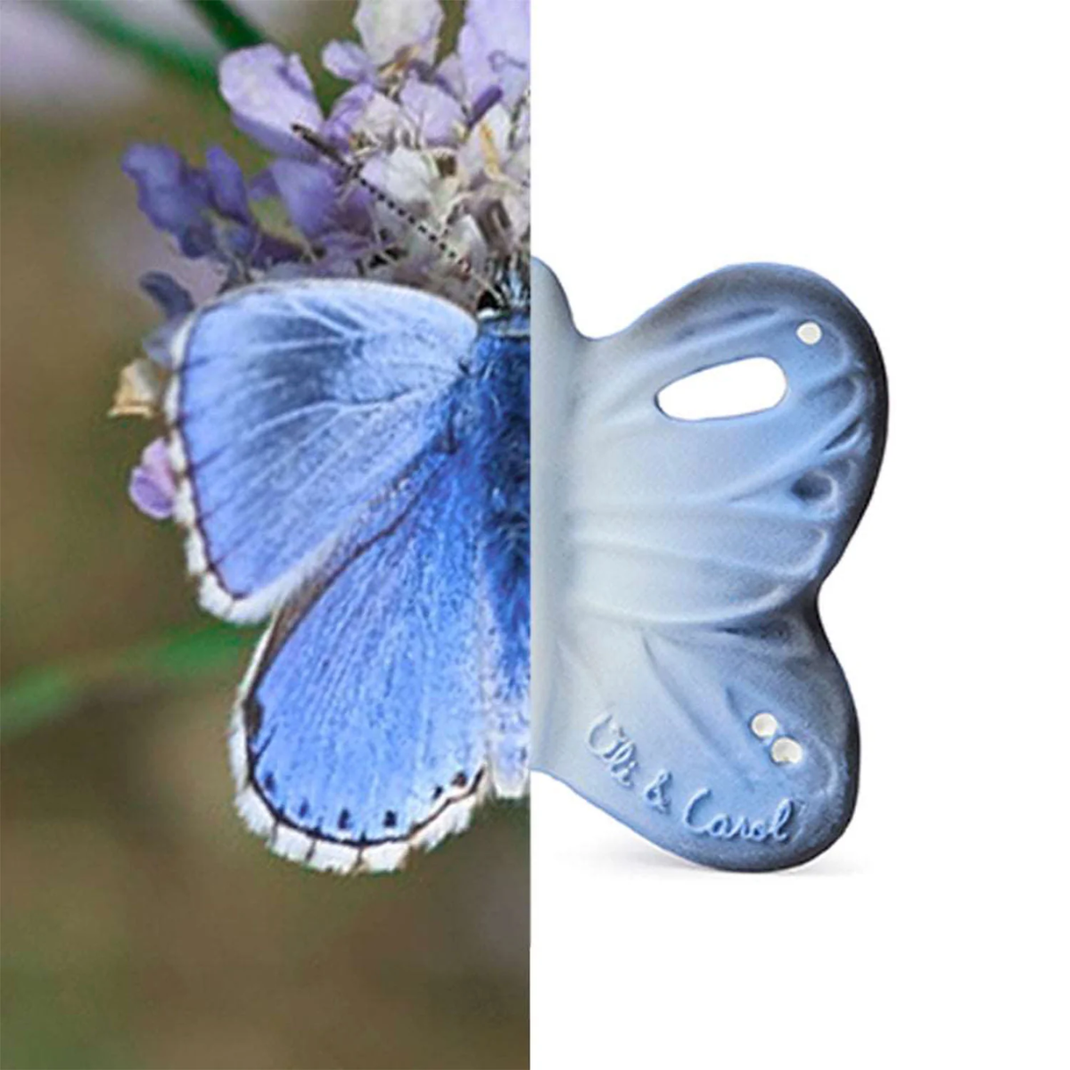 Olí & Carol Mini Teether - Blue The Butterfly on Luna Baby Store Miami