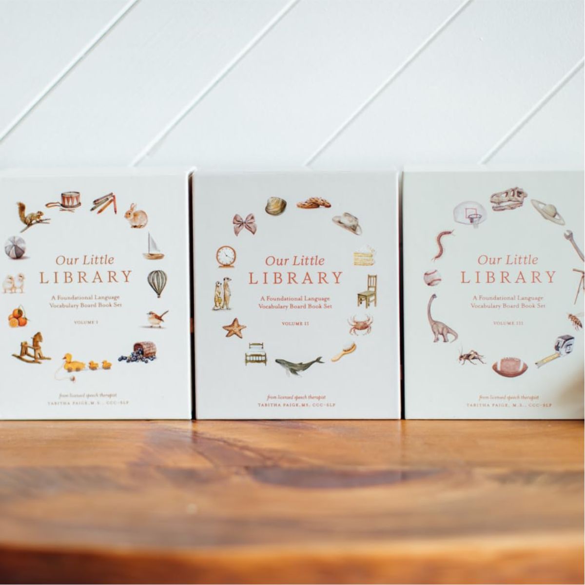Kit de Livros para Bebê Primeiras Palavras Our Little Library Volume 3 - 5 Unidades


