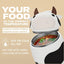 Asobu - Bestie Foodie Kids Insulated Food Jar Cow