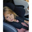 Cadeirinha de carro conversível Babyark, Smart Charcoal Grey / Midnight Blue