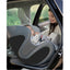 Cadeirinha de carro conversível Babyark Classic Charcoal Grey / Glacier Ice