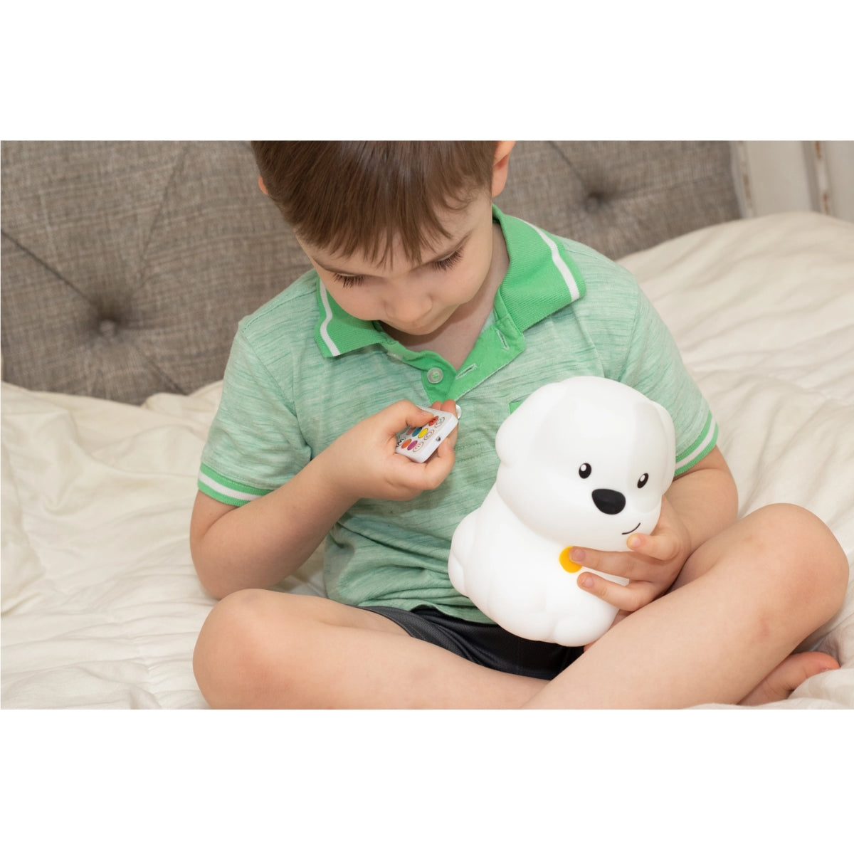 Luz noturna de LED para cães Lumipets® com controle remoto