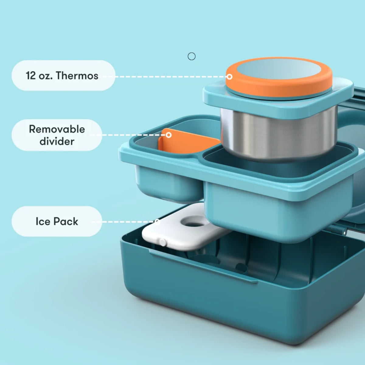 Larger & More Versatile