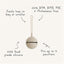 Mushie Silicone Pacifier Holder Case (Stone)