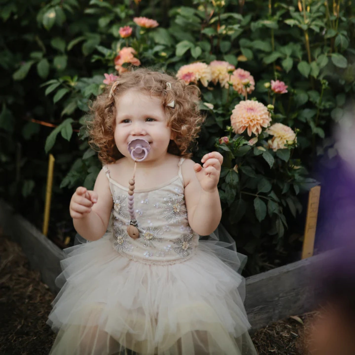 Prendedor De Chupeta Infantil Mushie EVA Mauve on Luna Baby Store Miami