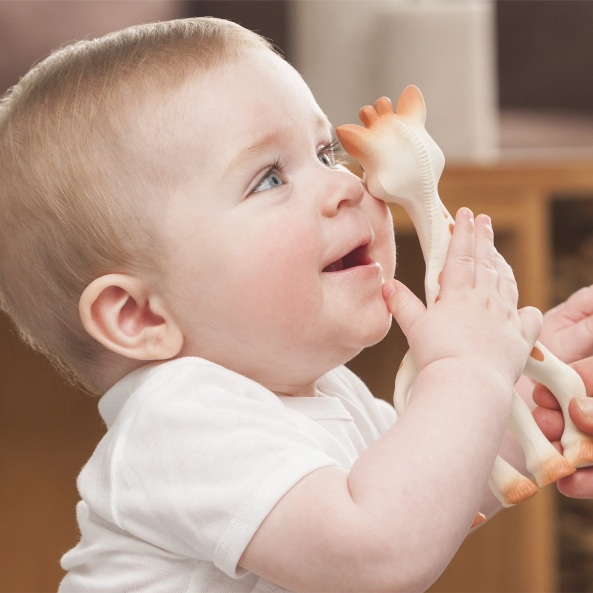Sophie la Girafe Baby Teether, Safari Gift Box