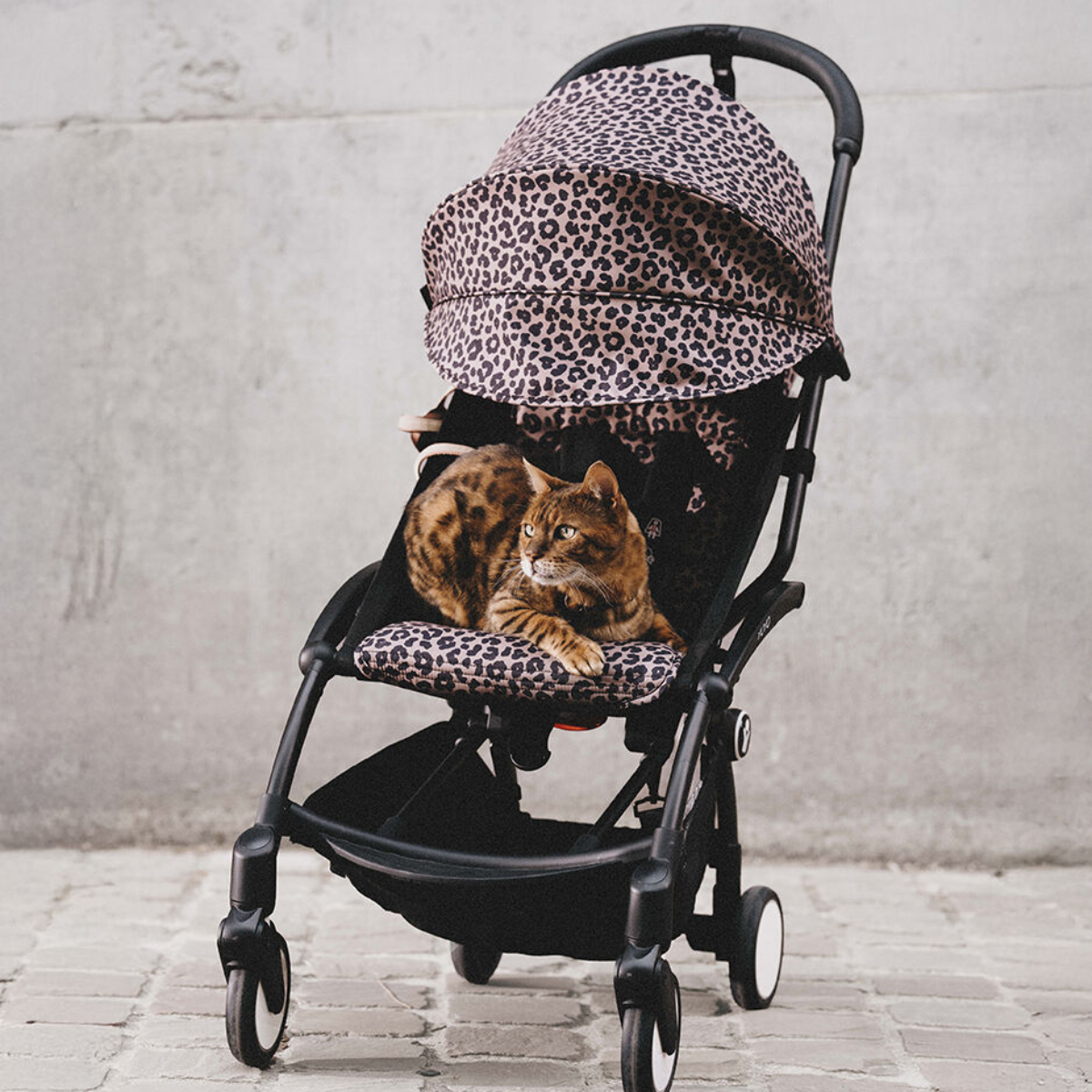 Stokke YOYO3 6+ Wild Collection Ultra-Compact Stroller - Leopard/Black Frame
