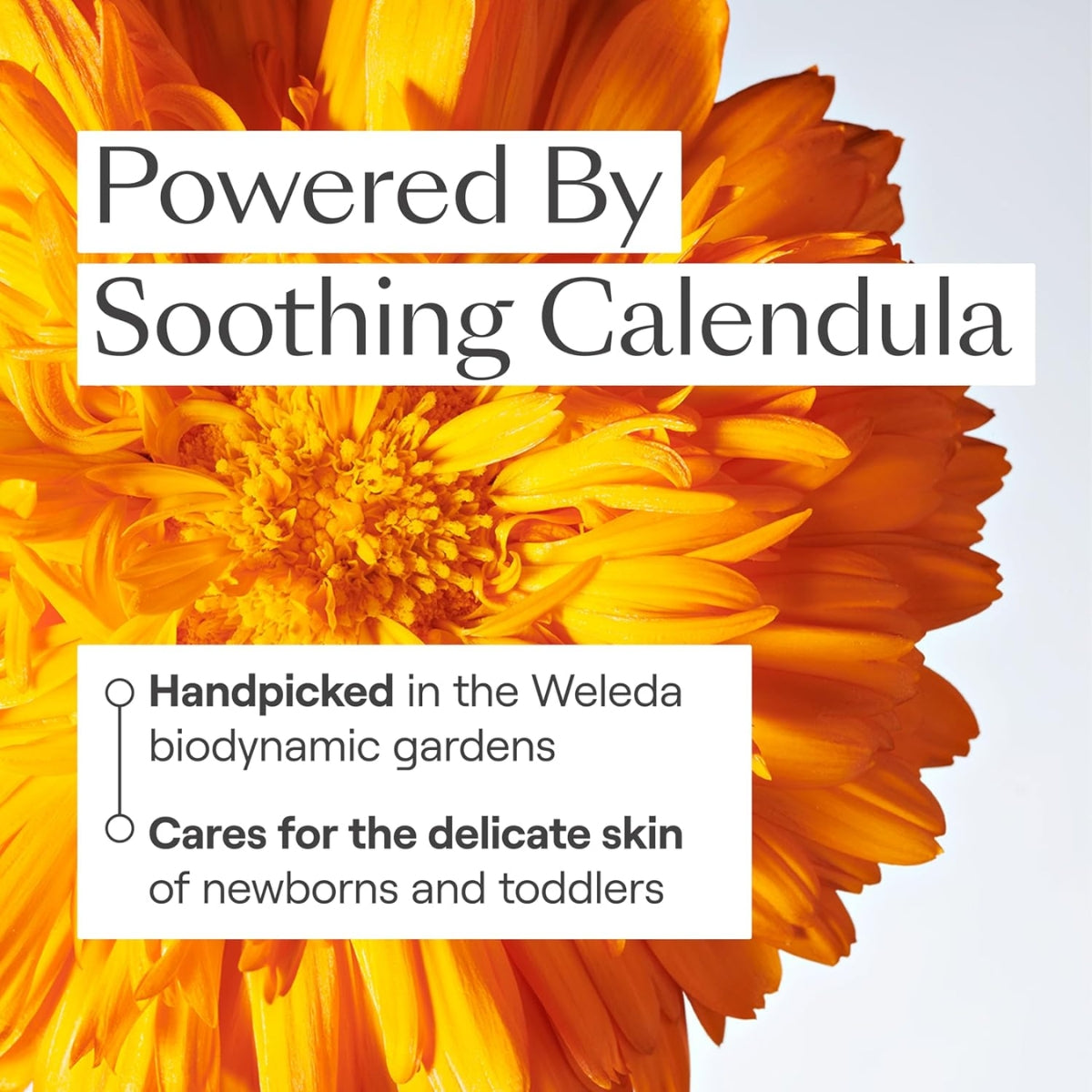 Weleda Calendula Diaper Cream, 2.5 fl oz on Luna Baby Store Miami