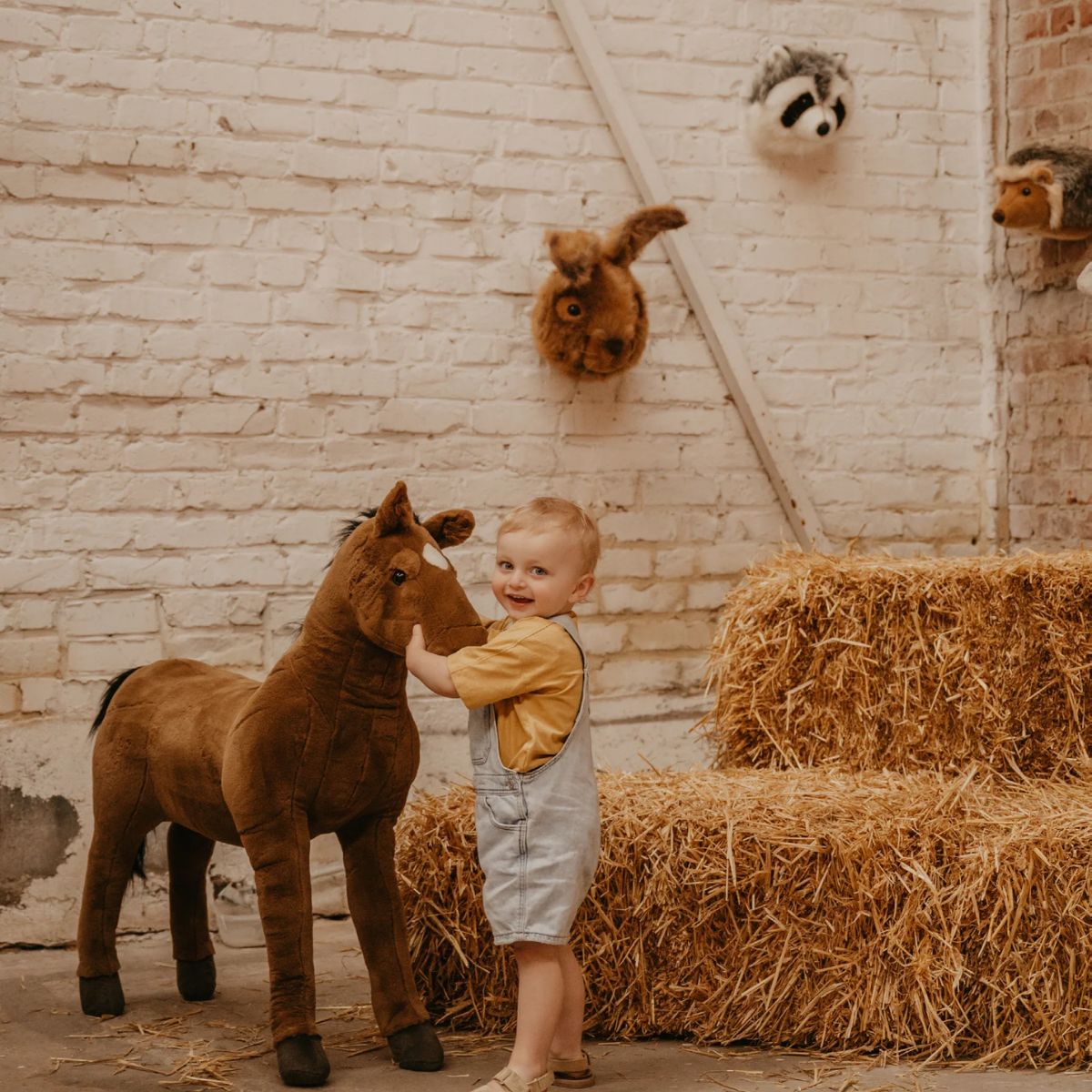 Wild & Soft Josh The Raccoon Soft Plush Wall Decoration