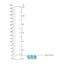 Refil Lixa De Unha Zoli Verde 6-12M on Luna Baby Store Miami